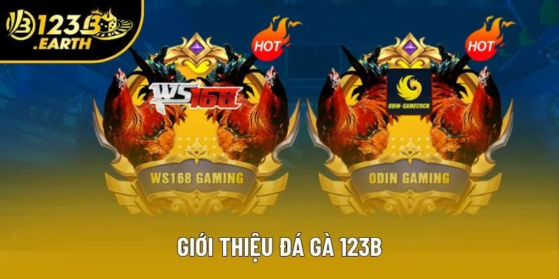 Giới thiệu đá gà 123B Giới thiệu đá gà 123B