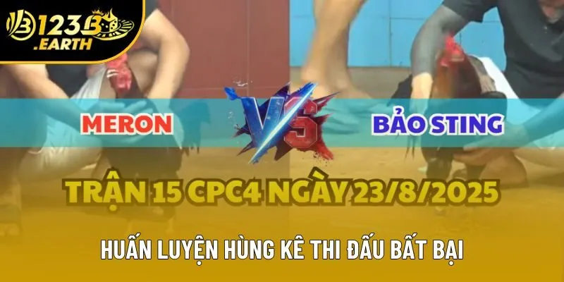 Tài năng huấn luyện hùng kê đỉnh cao