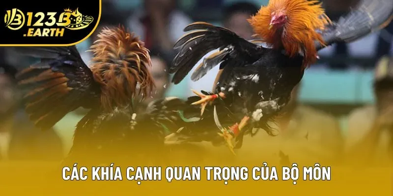 Các khía cạnh quan trọng của bộ môn Các khía cạnh quan trọng của bộ môn