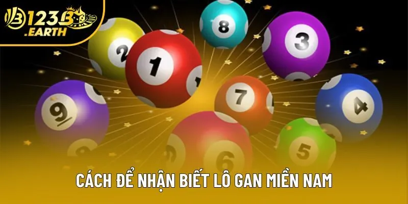 Cách để nhận biết lô gan miền Nam Cách để nhận biết lô gan miền Nam