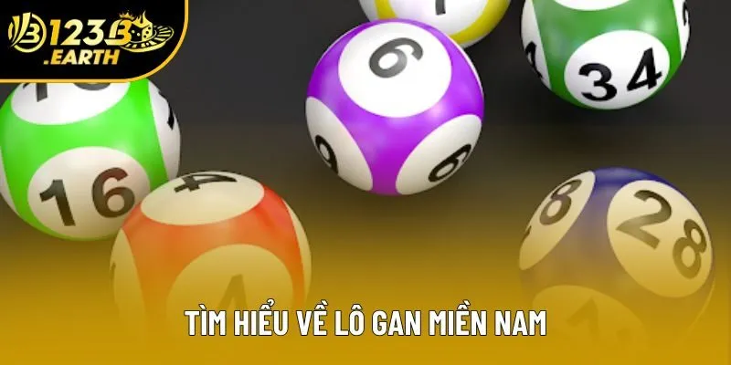 Tìm hiểu về lô gan miền Nam Tìm hiểu về lô gan miền Nam