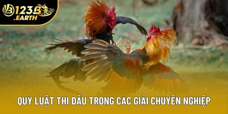 Quy luật thi đấu trong các giải chuyên nghiệp Quy luật thi đấu trong các giải chuyên nghiệp